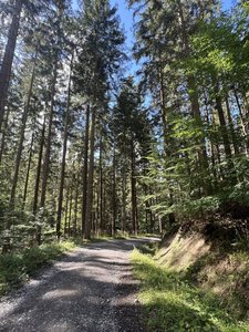 2026-09-06 - Bučkula