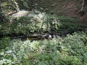 2026-09-06 - Těšiňoky