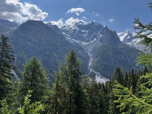 2023-06-17 - Untere Tartscher Alm - 44